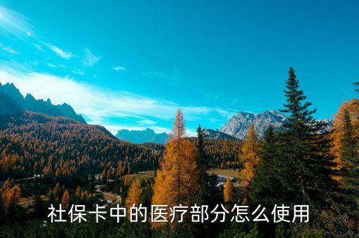 社?？ㄖ械尼t(yī)療部分怎么使用