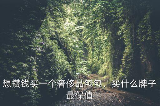 想攢錢買一個奢侈品包包，買什么牌子最保值