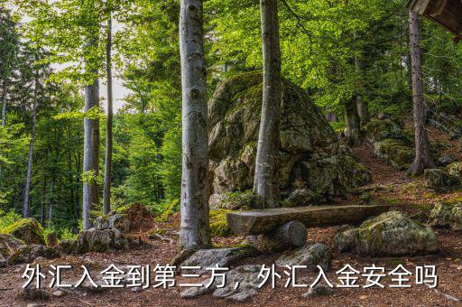外匯入金到第三方，外匯入金安全嗎