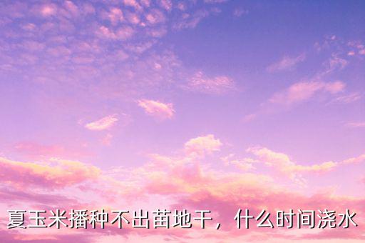 夏玉米播種不出苗地干，什么時(shí)間澆水