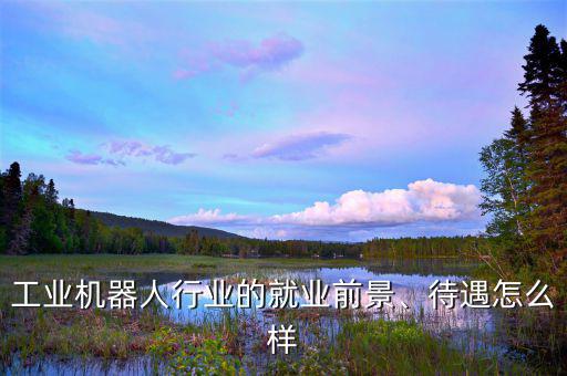 工業(yè)機器人行業(yè)的就業(yè)前景、待遇怎么樣