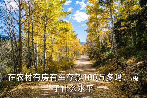 在農(nóng)村有房有車(chē)存款100萬(wàn)多嗎，屬于什么水平