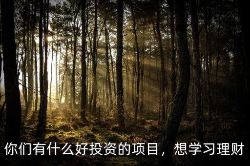 你們有什么好投資的項目，想學習理財