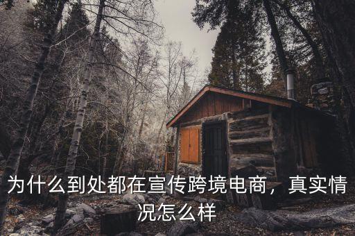 為什么到處都在宣傳跨境電商，真實情況怎么樣