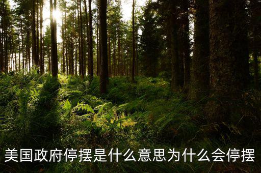 美國政府為什么停擺,為什么會(huì)停擺