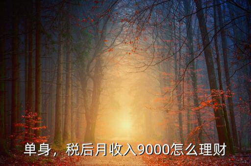 單身，稅后月收入9000怎么理財(cái)