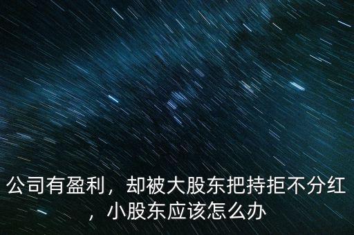 公司有盈利，卻被大股東把持拒不分紅，小股東應(yīng)該怎么辦