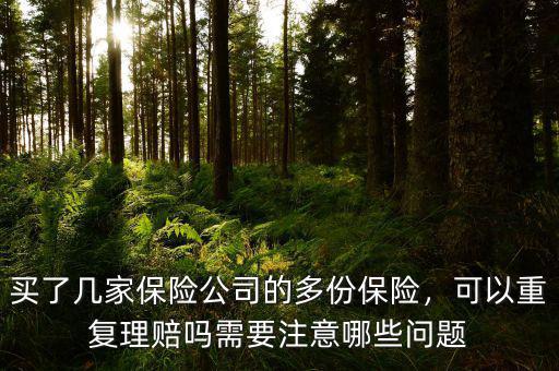 買了幾家保險公司的多份保險，可以重復(fù)理賠嗎需要注意哪些問題