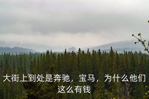 大街上到處是奔馳，寶馬，為什么他們這么有錢