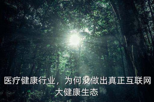 醫(yī)療健康行業(yè)，為何沒(méi)做出真正互聯(lián)網(wǎng)大健康生態(tài)