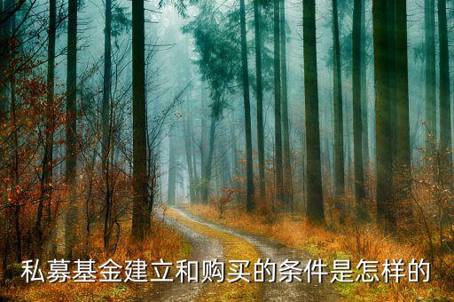銀行和保險資金怎么買私募,私募產品如何發(fā)行