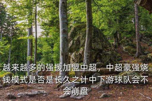 越來越多的強援加盟中超，中超豪強燒錢模式是否是長久之計中下游球隊會不會崩盤