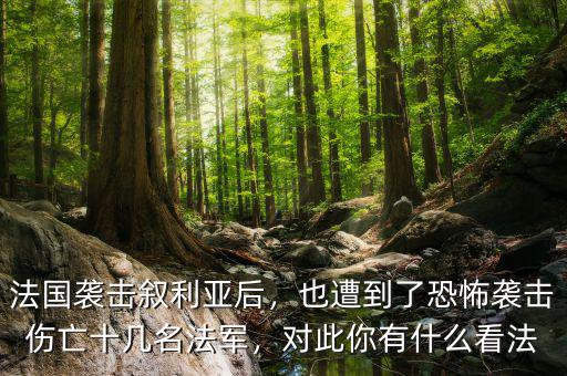 法國襲擊敘利亞后，也遭到了恐怖襲擊傷亡十幾名法軍，對此你有什么看法