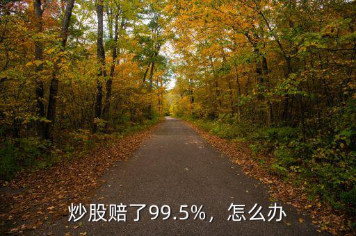 炒股賠了99.5%，怎么辦