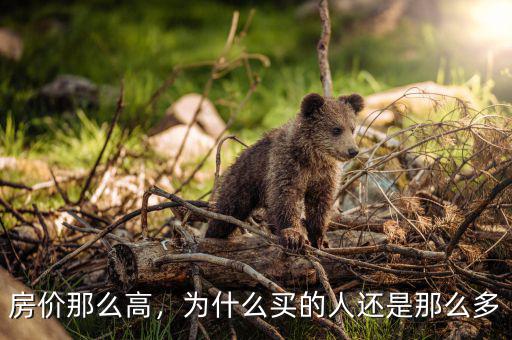 房價那么高，為什么買的人還是那么多