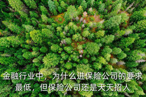 金融行業(yè)中，為什么進保險公司的要求最低，但保險公司還是天天招人