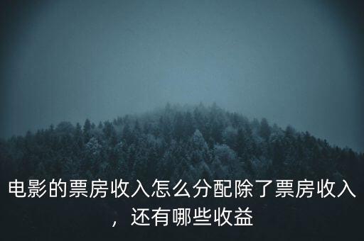 電影的票房收入怎么分配除了票房收入，還有哪些收益