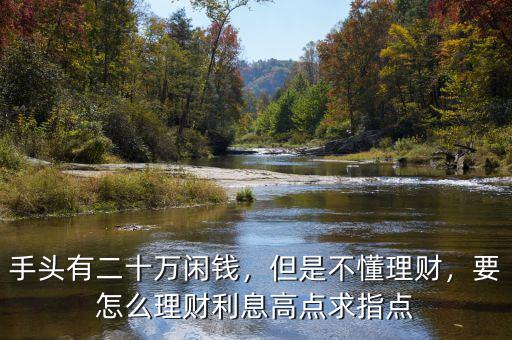 手頭有二十萬閑錢，但是不懂理財(cái)，要怎么理財(cái)利息高點(diǎn)求指點(diǎn)