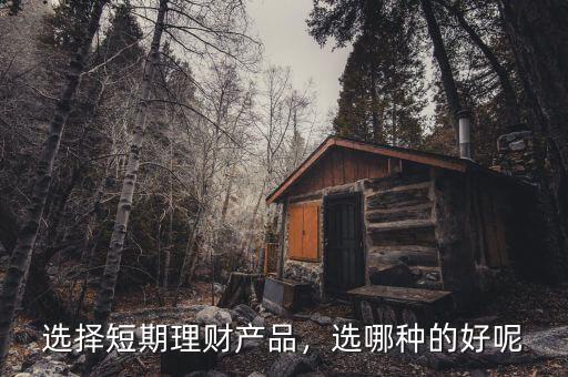 選擇短期理財產(chǎn)品，選哪種的好呢