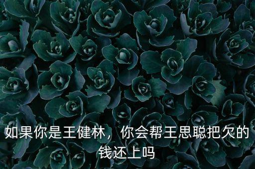 如果你是王健林，你會(huì)幫王思聰把欠的錢(qián)還上嗎