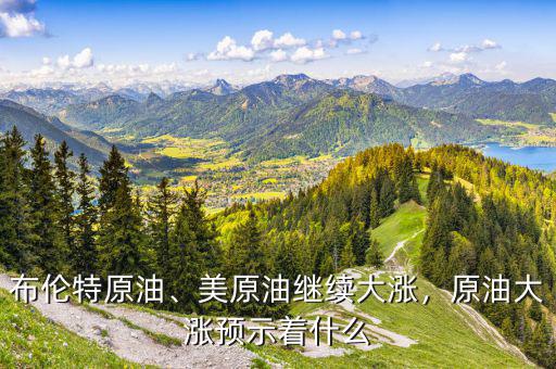 布倫特原油、美原油繼續(xù)大漲，原油大漲預示著什么