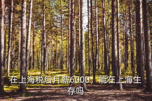 在上海稅后月薪6000，能在上海生存嗎