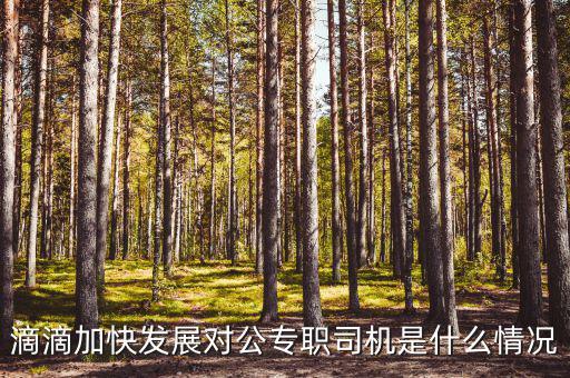 滴滴加快發(fā)展對(duì)公專(zhuān)職司機(jī)是什么情況