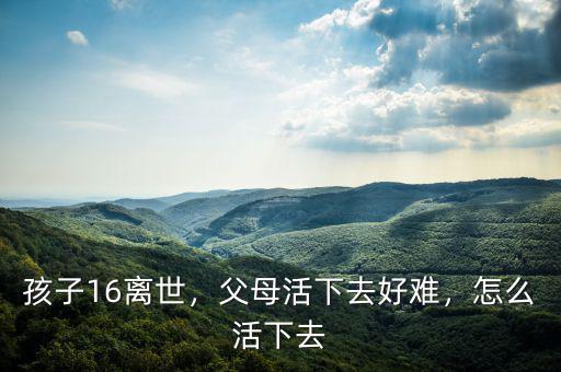 孩子16離世，父母活下去好難，怎么活下去