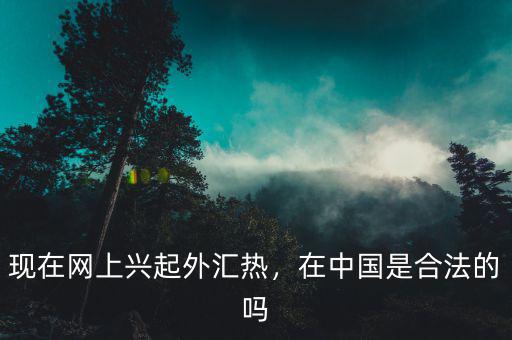 現(xiàn)在網(wǎng)上興起外匯熱，在中國(guó)是合法的嗎