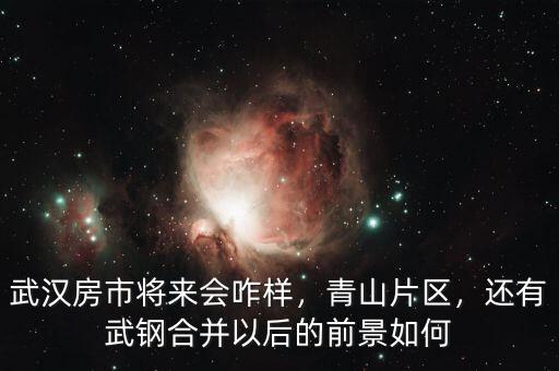 武漢房市將來會(huì)咋樣，青山片區(qū)，還有武鋼合并以后的前景如何