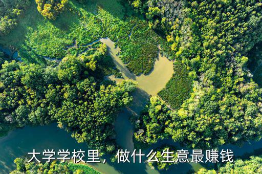 大學(xué)學(xué)校里，做什么生意最賺錢