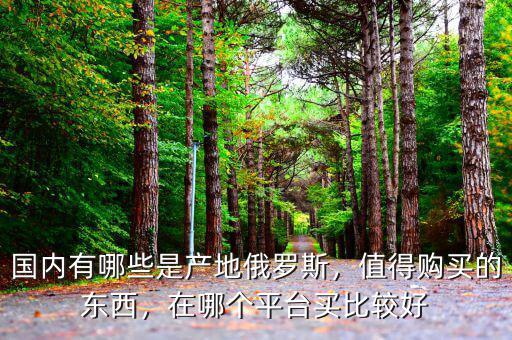 國(guó)內(nèi)有哪些是產(chǎn)地俄羅斯，值得購(gòu)買(mǎi)的東西，在哪個(gè)平臺(tái)買(mǎi)比較好