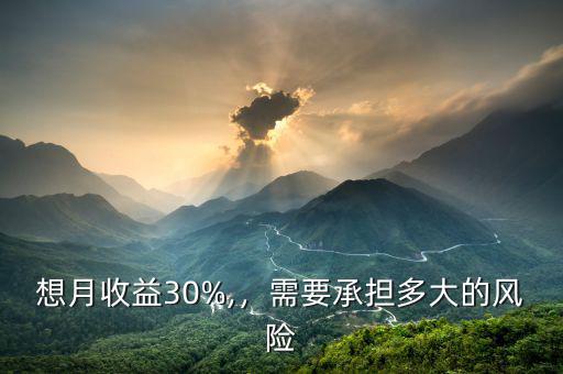 想月收益30%,，需要承擔多大的風險