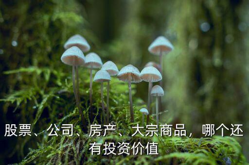 股票、公司、房產(chǎn)、大宗商品，哪個還有投資價值