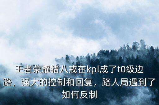 王者榮耀豬八戒在kpl成了t0級邊路，強大的控制和回復(fù)，路人局遇到了如何反制