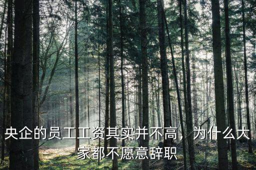 央企的員工工資其實(shí)并不高，為什么大家都不愿意辭職