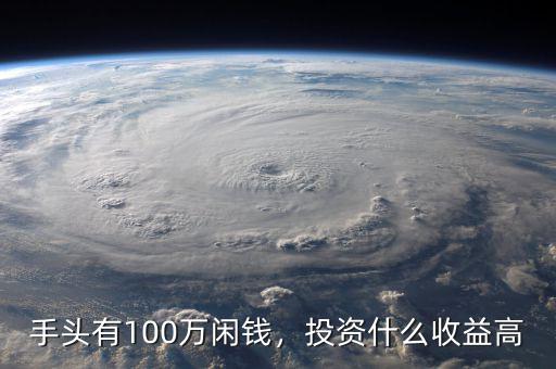 手頭有100萬閑錢，投資什么收益高