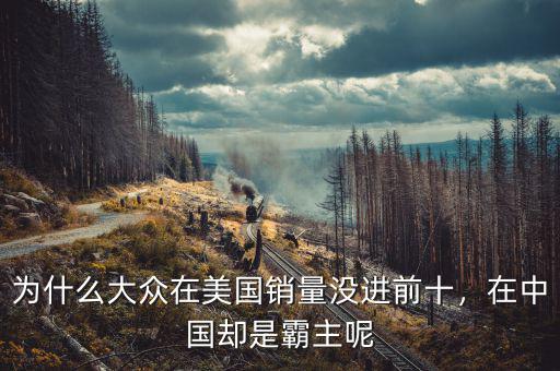 為什么大眾在美國銷量沒進前十，在中國卻是霸主呢