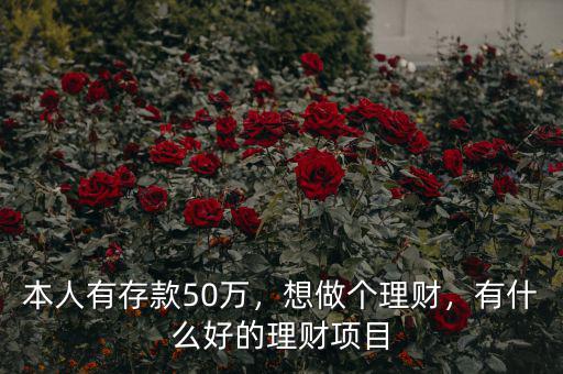 本人有存款50萬，想做個理財，有什么好的理財項目