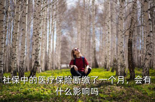 社保中的醫(yī)療保險(xiǎn)斷繳了一個(gè)月，會有什么影響嗎