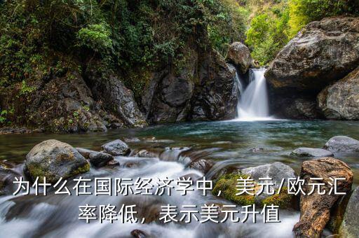 為什么在國際經(jīng)濟學中，美元/歐元匯率降低，表示美元升值