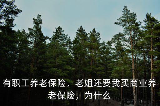 有職工養(yǎng)老保險(xiǎn)，老姐還要我買商業(yè)養(yǎng)老保險(xiǎn)，為什么