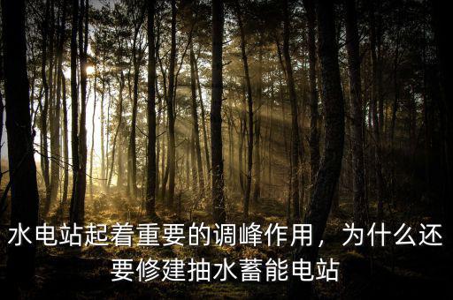 水電站起著重要的調(diào)峰作用，為什么還要修建抽水蓄能電站