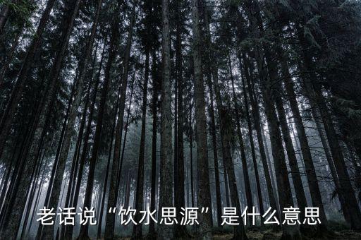 廉賢是什么意思,老話(huà)說(shuō)飲水思源是什么意思