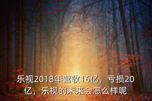 樂(lè)視2018年?duì)I收16億，虧損20億，樂(lè)視的未來(lái)會(huì)怎么樣呢