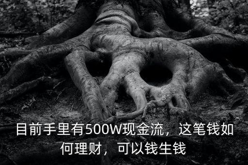 目前手里有500W現(xiàn)金流，這筆錢如何理財(cái)，可以錢生錢