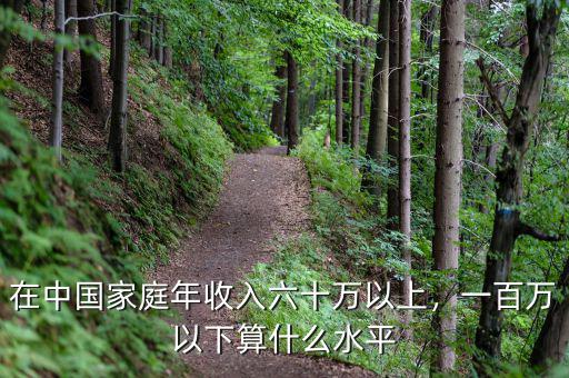 在中國(guó)家庭年收入六十萬以上，一百萬以下算什么水平