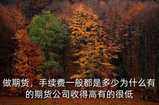 做期貨，手續(xù)費一般都是多少為什么有的期貨公司收得高有的很低