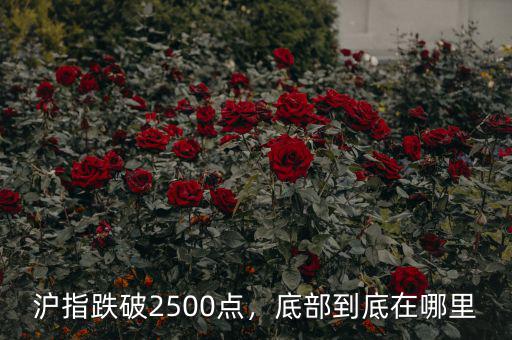 滬指跌破2500點(diǎn)，底部到底在哪里