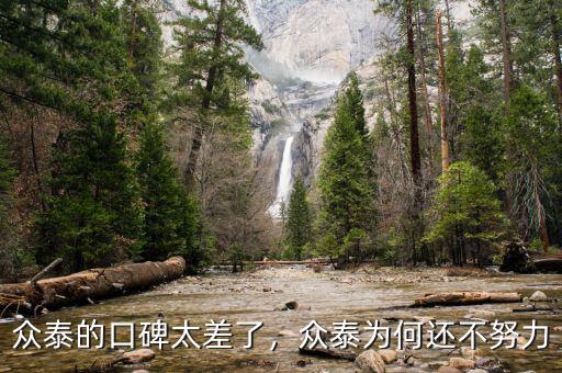 眾泰的口碑太差了，眾泰為何還不努力